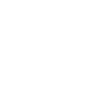 BluSub Accounting Services Logo